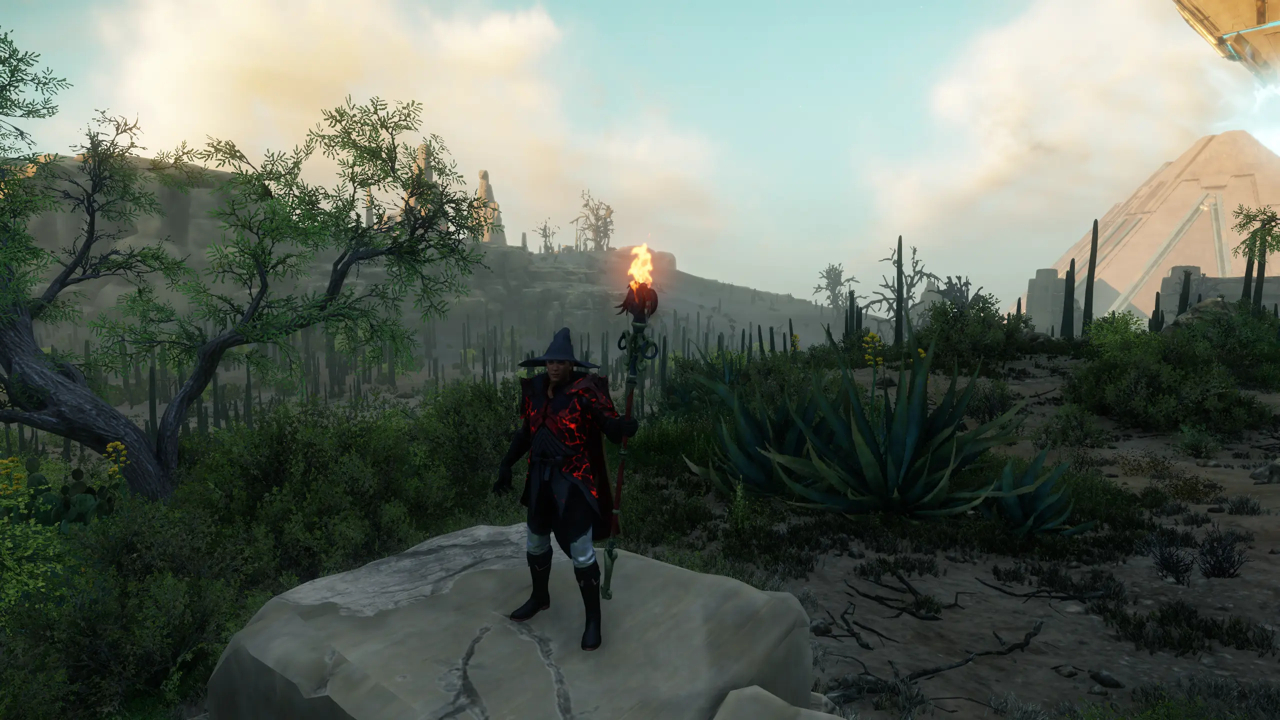 Grey Wizard’s Hat Build